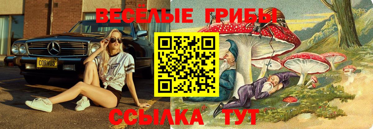 Псилоцибиновые грибы ЛСД Чехов