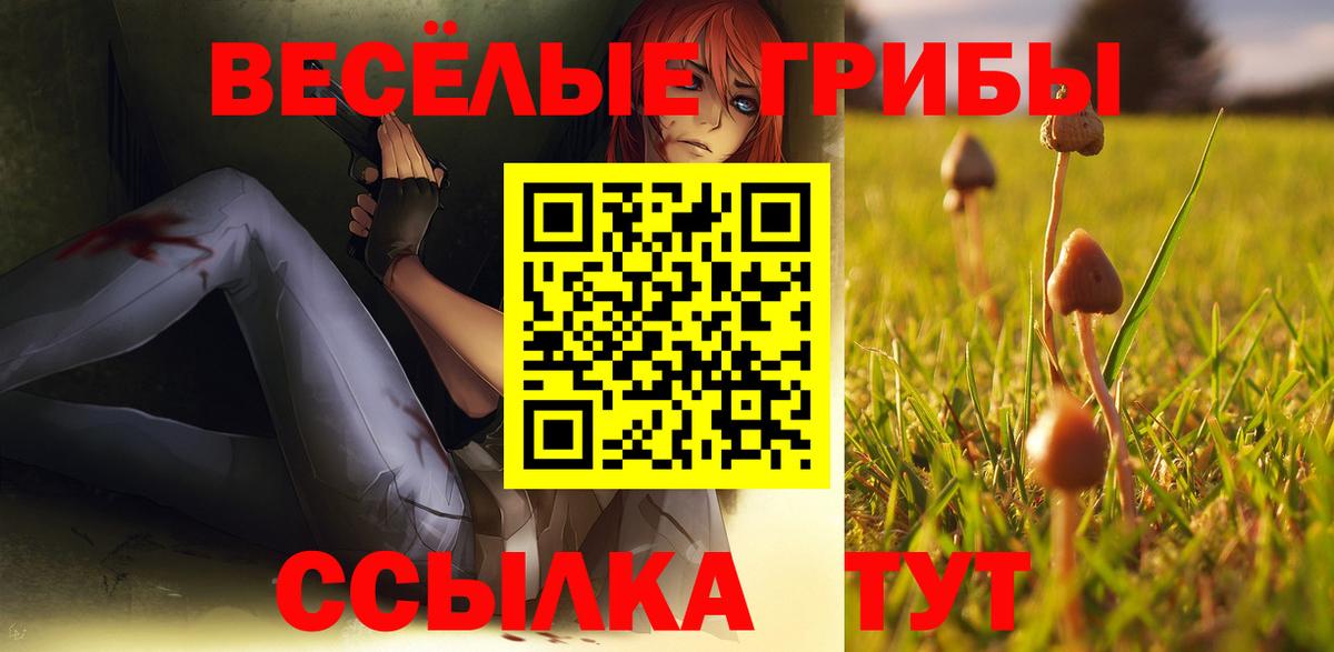 Чехов  Псилоцибиновые грибы Magic Shrooms  Вход с VPN 